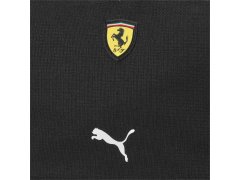 Ferrari Race ledvinka 7